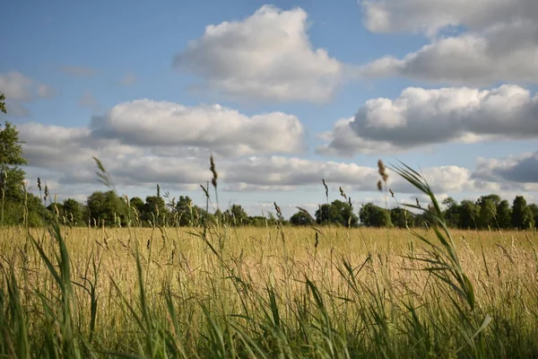 Kara bulutlar üzerinde kırpma alanı haddeleme