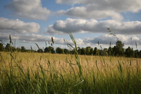Kara bulutlar üzerinde kırpma alanı haddeleme