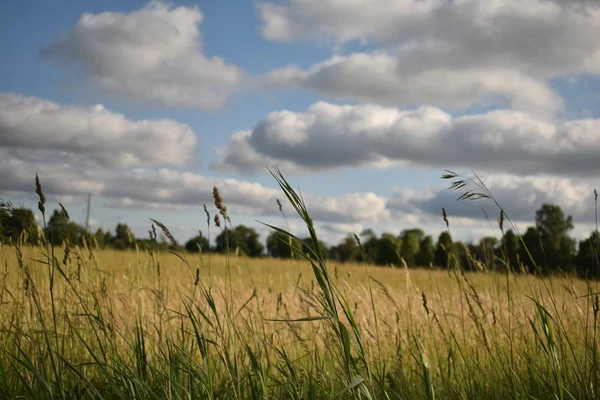 Kara bulutlar üzerinde bir kırpma alanı haddeleme