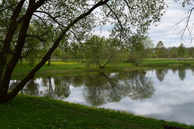 Bu bahar dışında ve her şeyi çiçek açan. ND yansımaları çok daha güzel alıyorsanız.