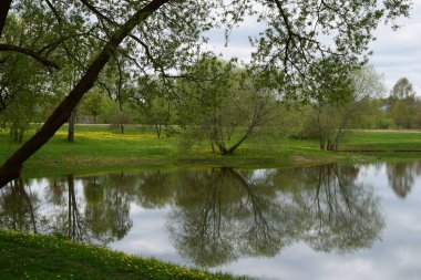 Bu bahar dışında ve her şeyi çiçek açan. ND yansımaları çok daha güzel alıyorsanız.