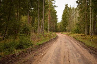 Bu yol beni fikrimi gevşek ve ruhumu bulmak için ormana götür izin.