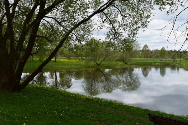 Bu bahar dışında ve her şeyi çiçek açan. ND yansımaları çok daha güzel alıyorsanız.