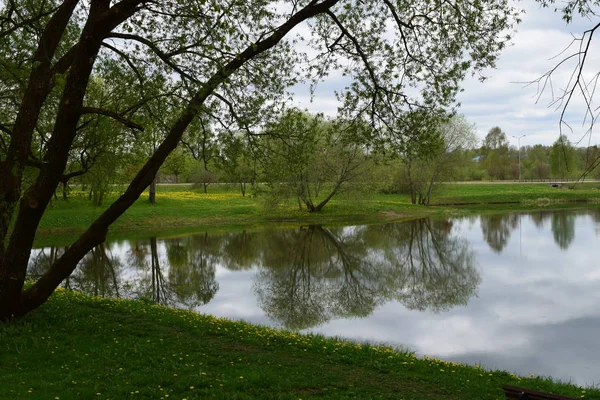 Bu bahar dışında ve her şeyi çiçek açan. ND yansımaları çok daha güzel alıyorsanız.