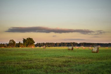gün batımı sırasında tarım alanı