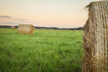 gün batımı sırasında tarım alanı