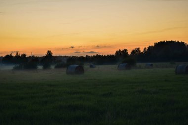 Akşam alan üzerinde haddeleme sis
