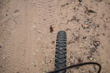 Bycicles ormanı keşfetmek