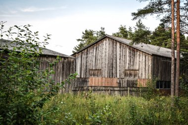 Ormanda terk edilmiş bir bina.