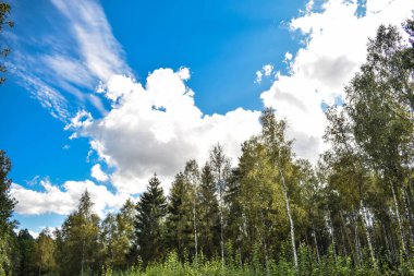 Bir yere çıkan yol.