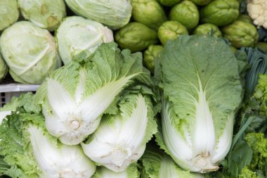 yeşil yaprak görünümü