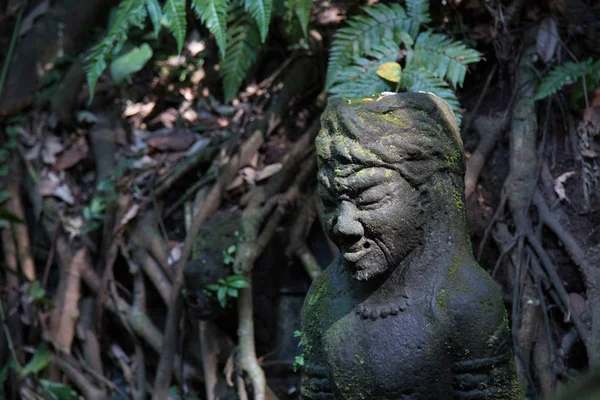 Una Vista Una Estatua Típica Indonesia — Foto de Stock