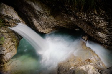 bir şelale içinde bir ağaç görünümü