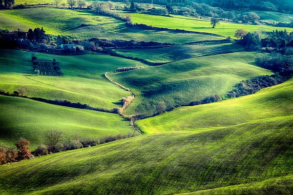 Una Vista Sul Paesaggio Toscano — Foto Stock