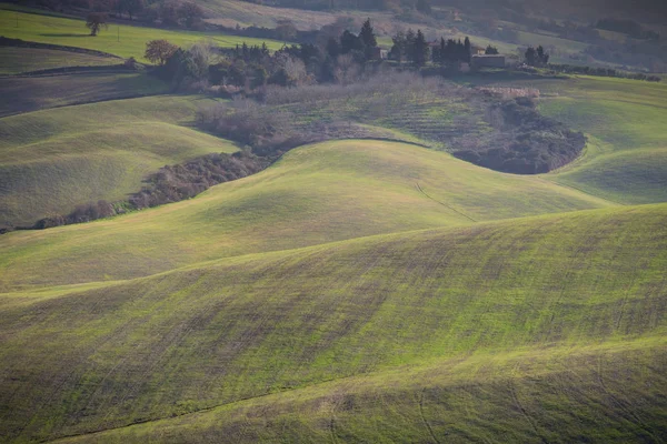 Una Vista Sul Paesaggio Toscano — Foto Stock