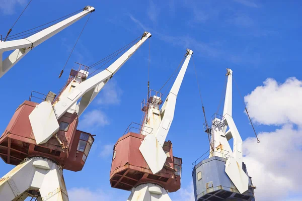 Port freight cargo cranes — Stock Photo, Image
