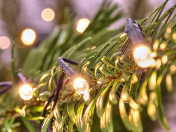 Leuchtende Weihnachtslichter. Weihnachtsbaum mit Girlanden geschmückt — Stockfoto