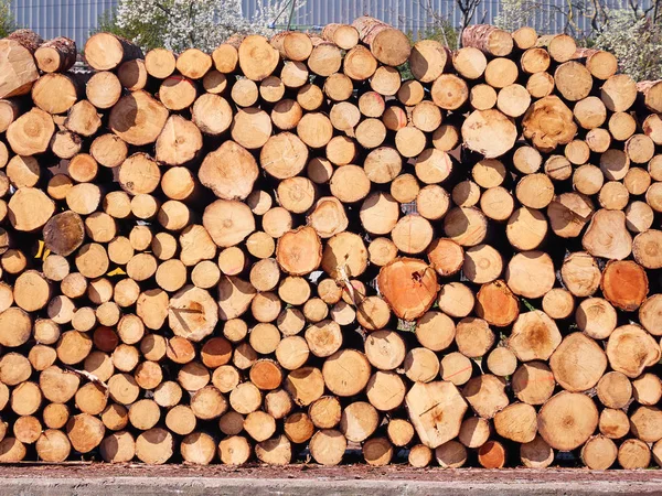 Brennholz stapelweise für den Winter vorbereitet — Stockfoto
