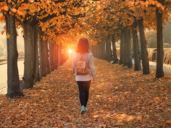 Spaziergängerin im Herbstpark, Herbstsaison — Stockfoto