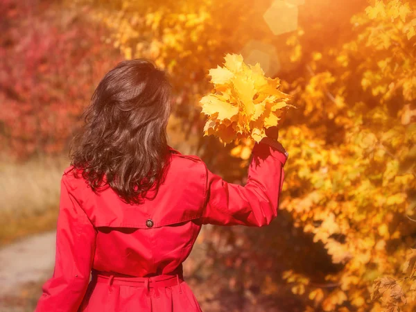 Joven hermosa mujer disfrutando del día de otoño con hojas amarillas — Foto de Stock