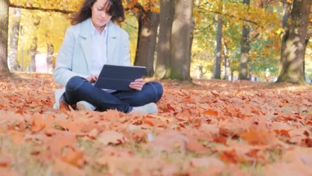 Nő dolgozik laptop ül a földön őszi levelek a parkban — Stock videók