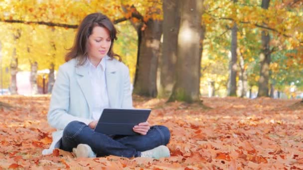 Γυναίκα που εργάζεται με φορητό υπολογιστή κάθεται στο έδαφος με φύλλα του φθινοπώρου — Αρχείο Βίντεο