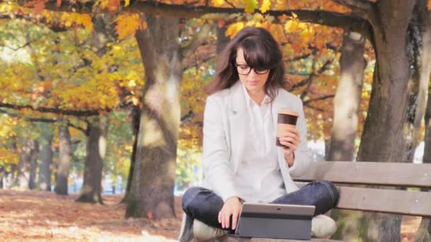 Beautiful Woman working with tablet sitting on the bench in park — Stock Video