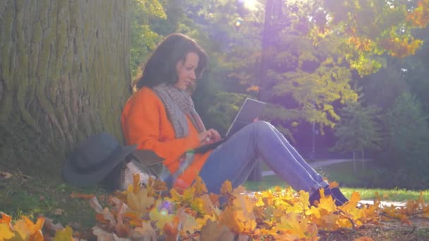 Nő dolgozik laptop őszi parkban, gyönyörű ősz a városban — Stock videók