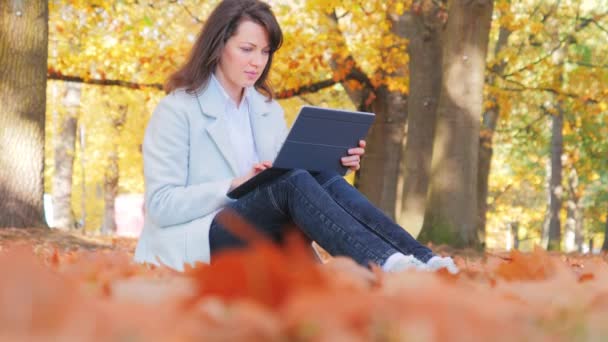 Woman working with laptop sitting on the ground, autumn leaves in park — Stock Video