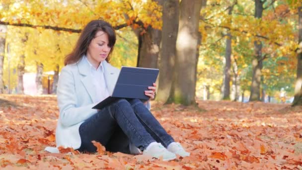 Γυναίκα που εργάζεται με φορητό υπολογιστή κάθεται στο έδαφος στο πάρκο — Αρχείο Βίντεο