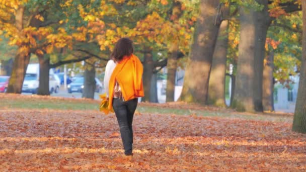 Mujer feliz con hojas de otoño caminando en el parque — Vídeos de Stock