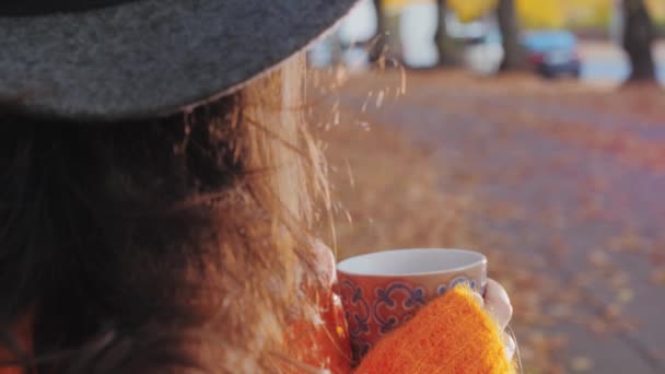 Mulher bebendo café no parque de outono, humor romântico — Vídeo de Stock