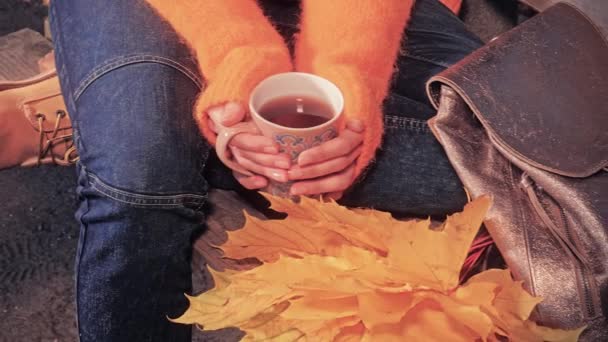 Красивая женщина пьет кофе в осеннем парке — стоковое видео