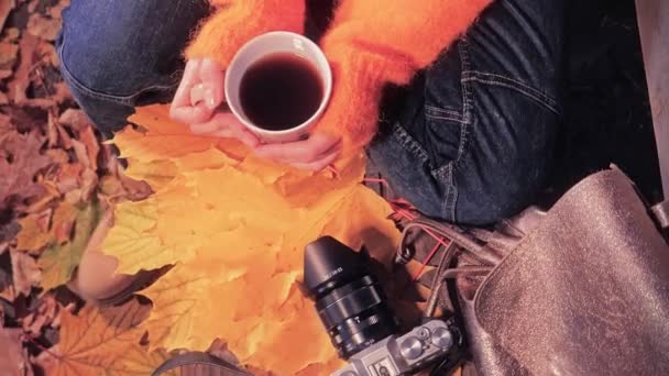 Mujer fotógrafa tomando café en el parque de otoño — Vídeo de stock