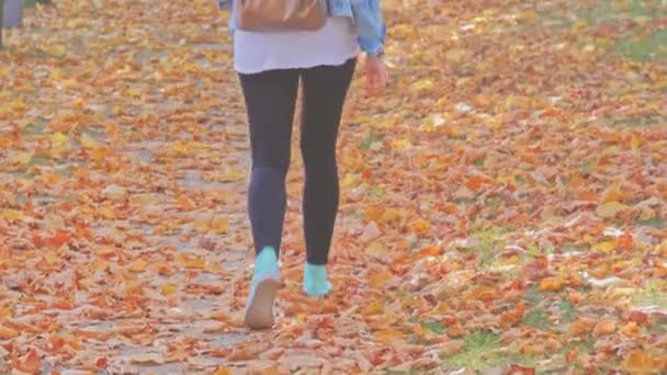 Mujer con mochila caminando en el parque — Vídeos de Stock