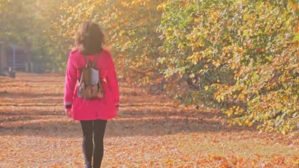 Feliz atractiva mujer caucásica caminando en el callejón de otoño — Vídeos de Stock