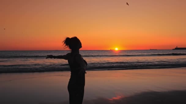 Silhouet van Gelukkige vrouw op het strand bij zonsondergang, vogels vliegen over je hoofd — Stockvideo