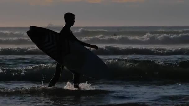 サーファーの男の子シルエットとともに彼のサーフボードはビーチに沿って歩く — ストック動画