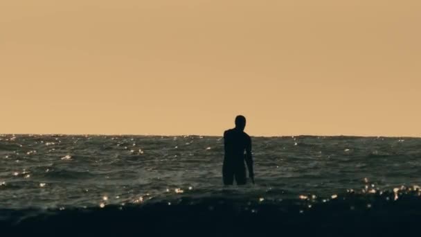 Paddle boarder activo. Silueta negra al atardecer del joven deportista — Vídeos de Stock