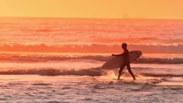 Surfař s jeho surfař procházky podél pláže při západu slunce — Stock video