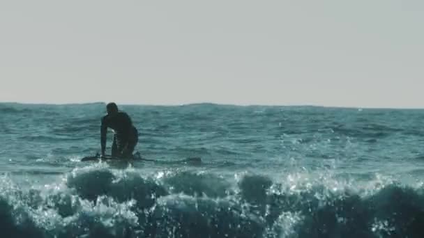 Чорний захід сонця силует молодого спортсмена веслує на стенді. — стокове відео
