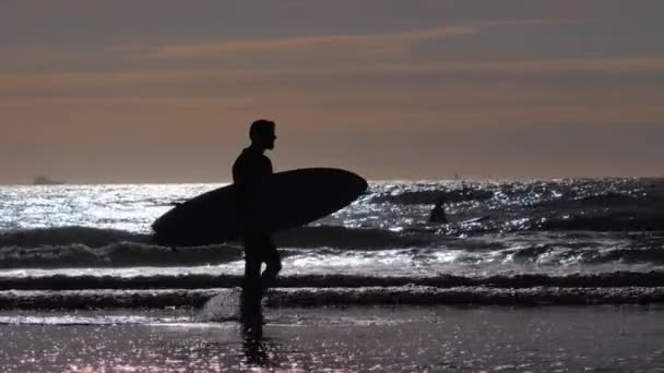 Silueta de surfista con su tabla de surf en la playa — Vídeos de Stock