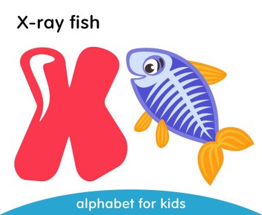 X harfi pembe ve sarı yüzgeçleri ile menekşe X-ray balık. İngilizce alfabe hayvanlar ile. Çizgi film karakterleri beyaz arka plan üzerinde izole. Düz tasarım. Hayvanat Bahçesi tema. Renkli vektör çizim çocuklar için.