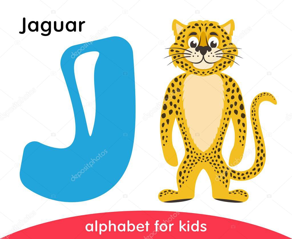 Blue Letter J And Yellow Jaguar English Alphabet With Animals Cartoon Characters Isolated On White Background Flat Design Zoo Theme Colorful Vector Illustration For Kids Premium Vector In Adobe Illustrator Ai Blue Letter J And Yellow Jaguar English Alphabet With Animals Cartoon Characters Isolated On White Background Flat Design Zoo Theme Colorful Vector Illustration For Kids Premium Vector In Adobe Illustrator Ai