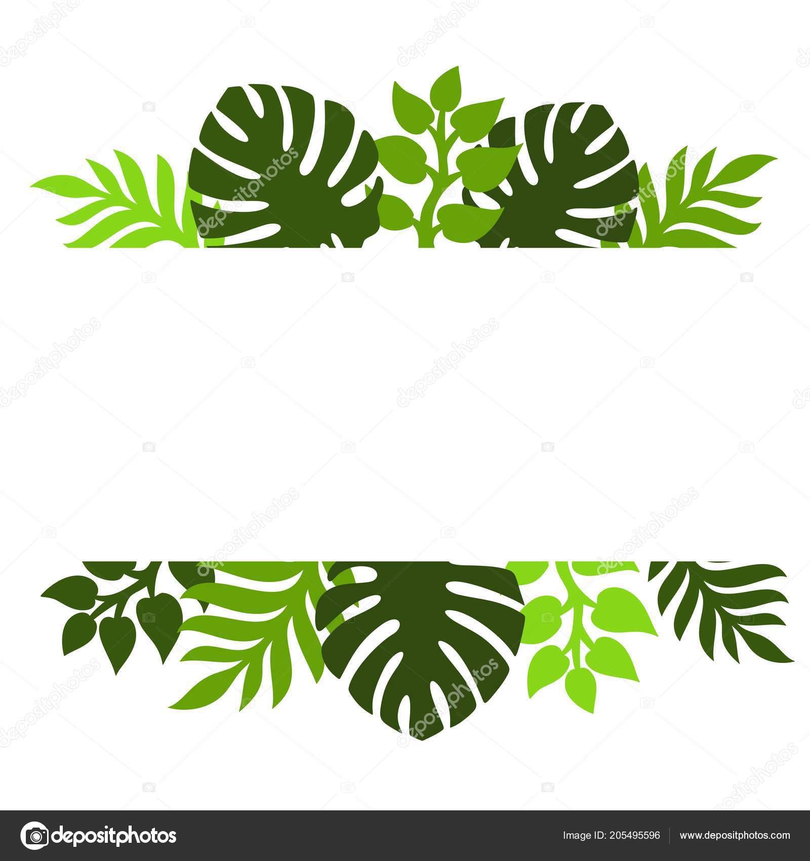 Theme Plants Silhouettes Tropical Palm Leaves Monstera Jungle Leaves ...