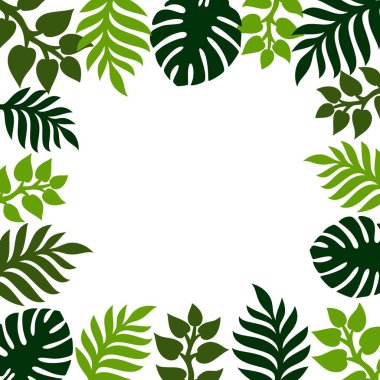 Yaz tropikal arka plan ile palmiye yaprakları. Metin için yer. Bitkilerin tema. Vektör çiçek arka plan.