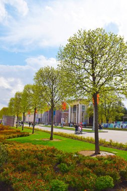 Moskova, Rusya - 5 Mayıs 2019. Vdnh (Vdnkh)- Ulusal Ekonomi nin Başarıları Sergisi (Vvc, tüm Rusya sergi merkezi). Kare taçlı ağaçlar. Yeşil sokak.