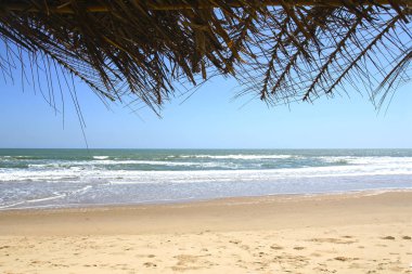 Deniz ve plaj palmiye yaprakları bir gölgelik altında görünümü