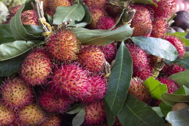 Kırmızı rambutan, sağlıklı kıllı tropikal meyve.