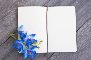 Bir wo yatıyor boş sayfaları ile açık bir not defteri, üst görünümü